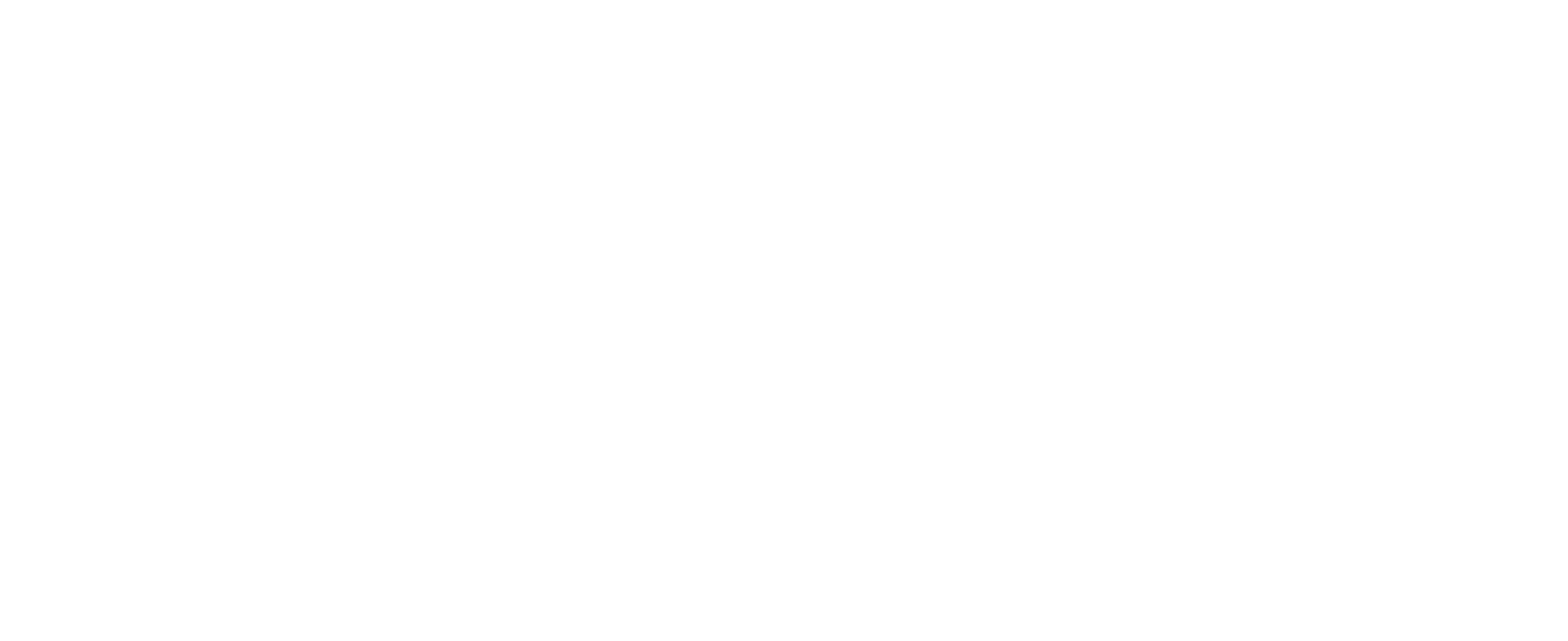 CLASSIX